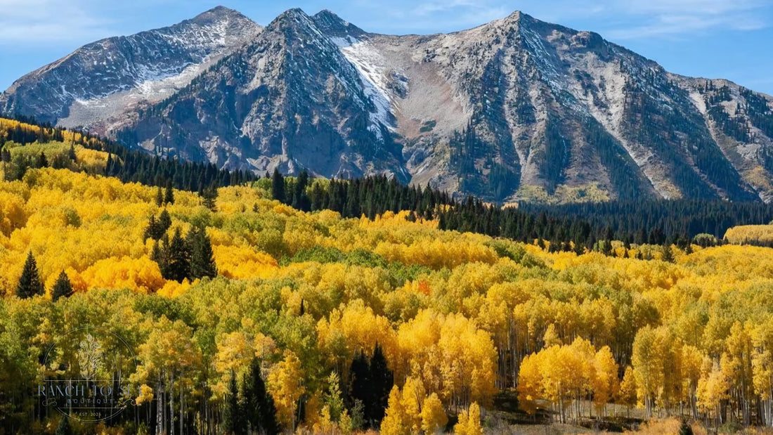 how to care for sweaters- autumn trees and dark evergreens beneath rugged mountain peaks and a blue sky.