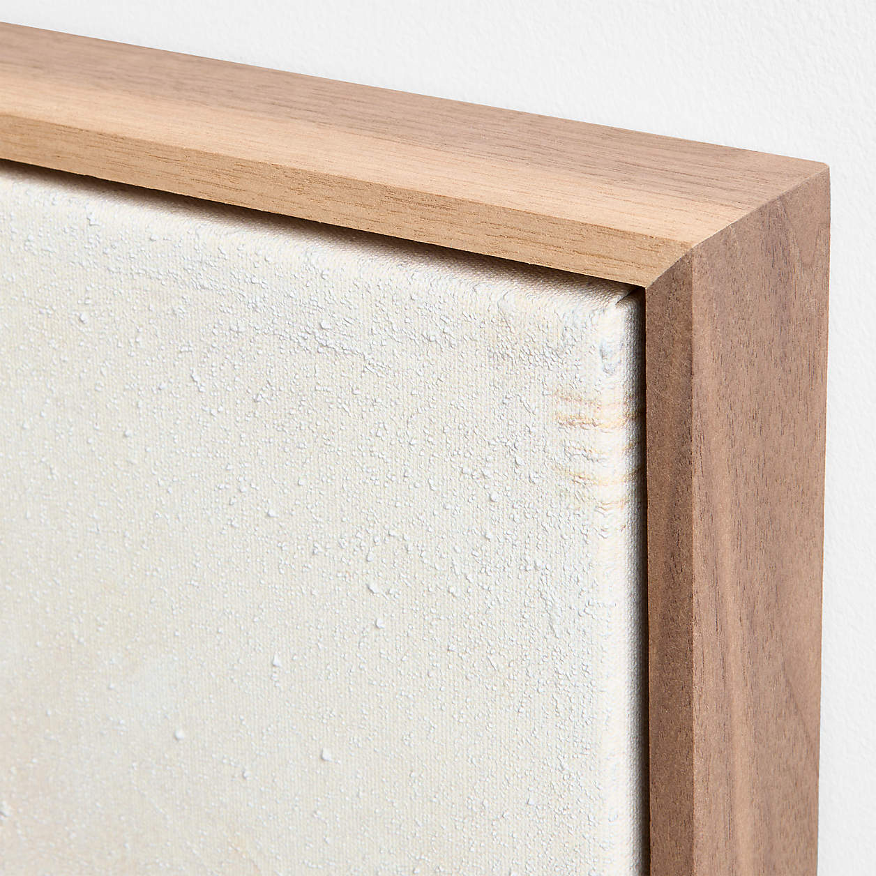 Resurrection by Paul Meyer 48"x42" Feamed Wall Art Print