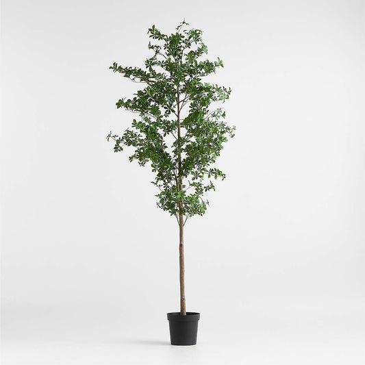 Potted Faux Black Olive Tree 7.5'