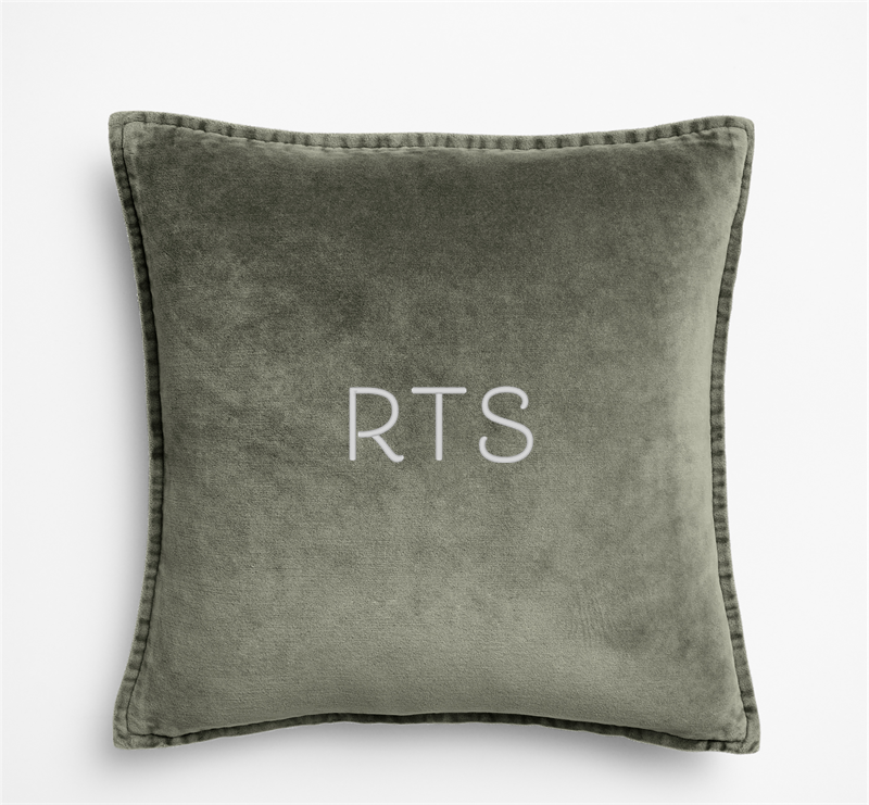 organic cotton velvet pillow  cover — sage green velvet throw pillow cover with stitched border and silver RTS embroidery, front view on light gray background
